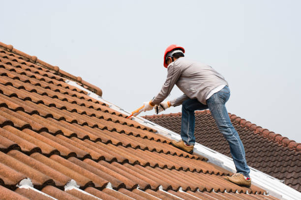 Trusted Bithlo, FL Roofing servicies Experts